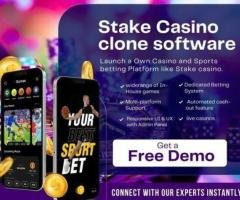 From Idea to Execution casino  Navigating the World of STAKE Clone Script