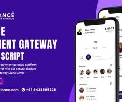 Launch a Global Payment Gateway Like PayPal or Stripe Effortlessly